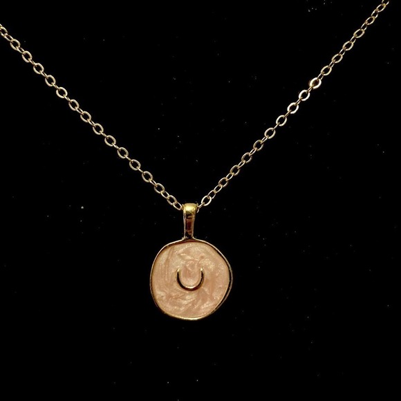 PINK Resin Horseshoe Lucky Charms Necklace - Picture 2 of 8